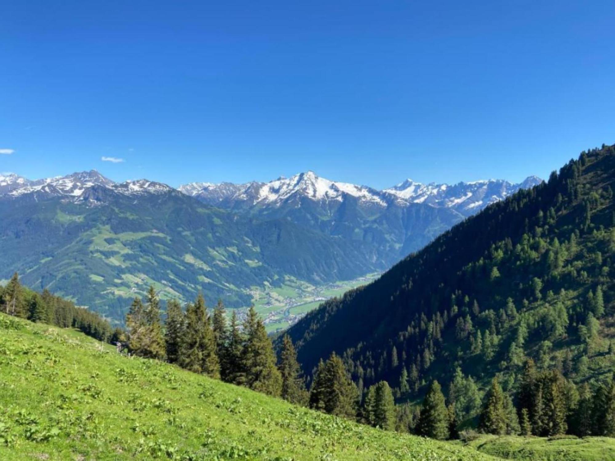 New Holiday Home On The Alm With Terrace And Balcony Zellberg Eksteriør billede