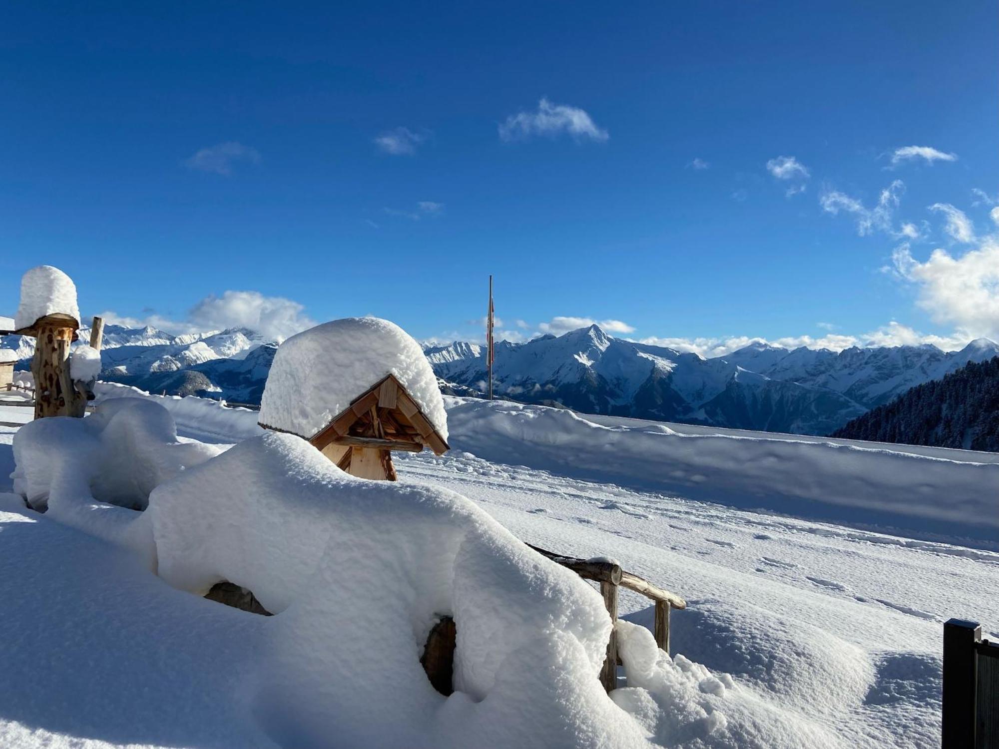 New Holiday Home On The Alm With Terrace And Balcony Zellberg Eksteriør billede